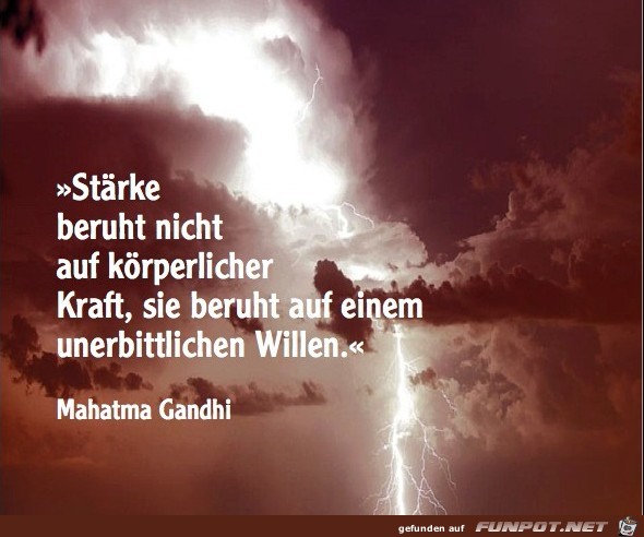 10 schöne Sprüche und Lebensweisheiten aus...